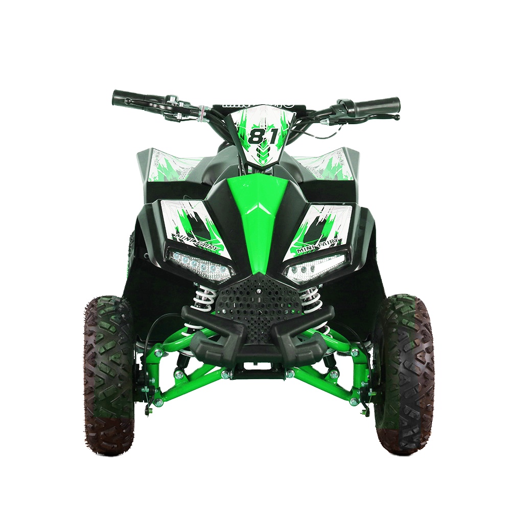 Kids Outdoor Electric Quad - Kids Electric ATV Quad 1000W 48V