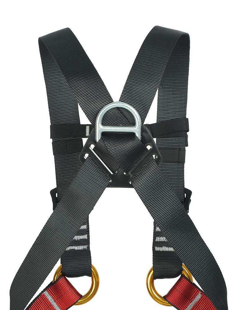 Kid's Safety Belt Child Full B – Kids Outdoor Climbing Bewertung und Preis
