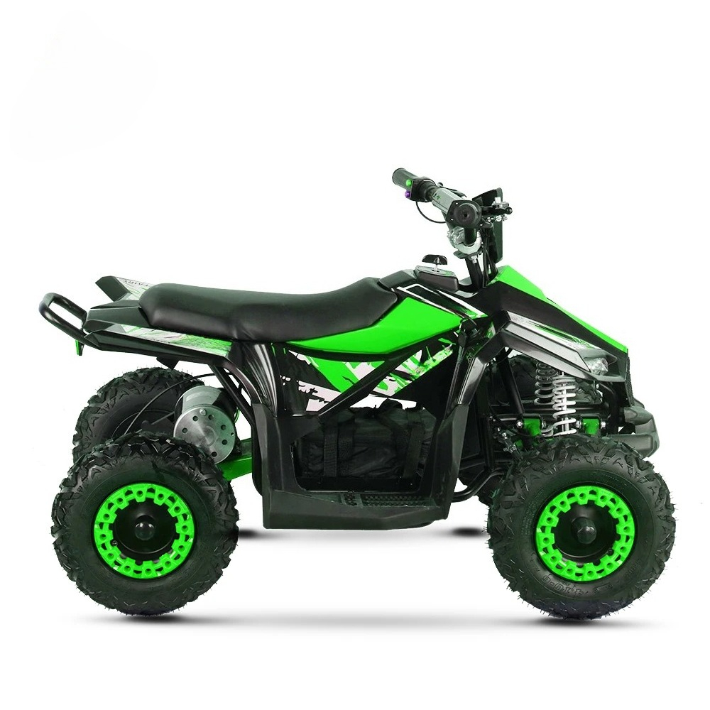 Kids Electric ATV Quad 1000W 4 – Kids Outdoor Electric Quad Bewertung und Preis